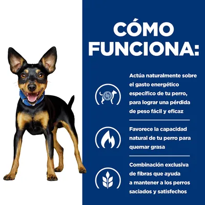 CÓMO FUNCIONA: actúa sobre el gasto energético del perro para pérdida de peso, favorece quemar grasa y combina fibras para mantener saciedad. Texto en español.