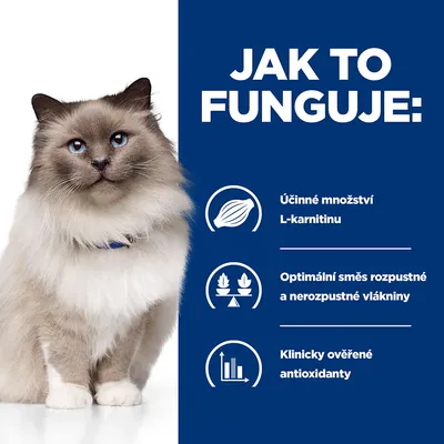 Jak to funguje: účinné množství L-karnitinu, optimální směs rozpustné a nerozpustné vlákniny, klinicky ověřené antioxidanty. Obrázek kočky vedle textu.