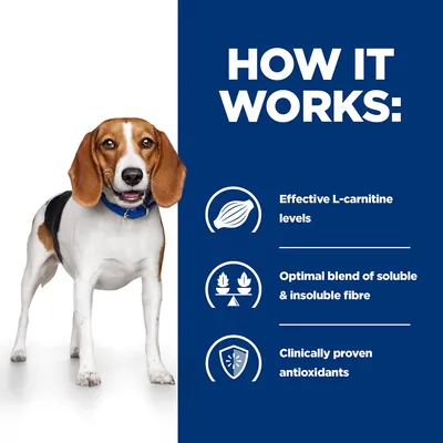 How it works: effective L-carnitine levels, optimal blend of soluble and insoluble fibre, clinically proven antioxidants.