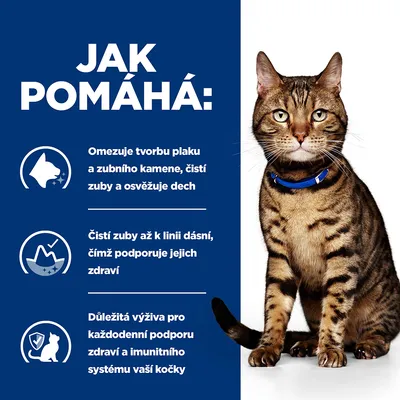 Jak pomáhá: Omezuje tvorbu plaku a zubního kamene, čistí zuby a osvěžuje dech. Čistí zuby až k linii dásní. Důležitá výživa pro podporu zdraví a imunity kočky. Kočka s obojkem.