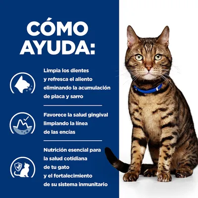 Texto: Cómo ayuda. Limpia los dientes y refresca el aliento eliminando placa y sarro. Favorece la salud gingival limpiando las encías. Nutrición esencial para la salud y sistema inmunitario del gato.