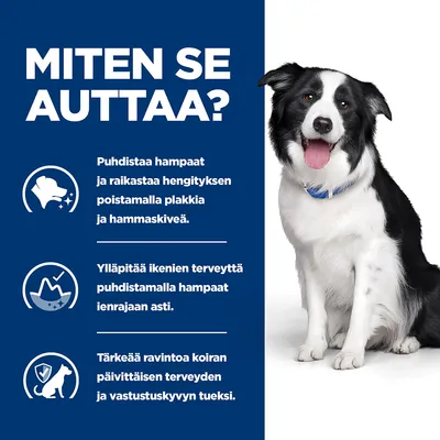 MITEN SE AUTTAA? Puhdistaa hampaat ja raikastaa hengityksen poistamalla plakkia ja hammaskiveä. Ylläpitää ikenien terveyttä. Tärkeää ravintoa koiran päivittäisen terveyden tueksi.