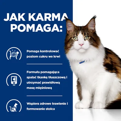 Jak karma pomaga: pomaga kontrolować poziom cukru we krwi, wspiera spalanie tkanki tłuszczowej i masę mięśniową, wspiera zdrowe trawienie i formowanie stolca. Obraz kota.
