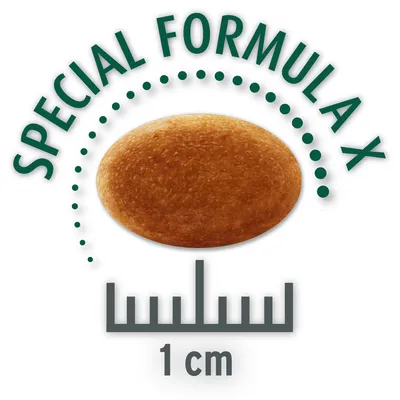 Torrfoderbit med texten 'Special Formula X', storlek 1 cm, visad med måttstock.