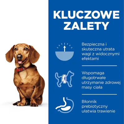 Kluczowe zalety: bezpieczna i skuteczna utrata wagi z widocznymi efektami, wspomaga długotrwałe utrzymanie zdrowej masy ciała, błonnik prebiotyczny ułatwia trawienie.