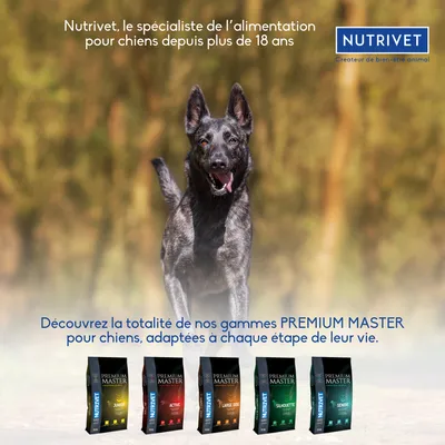 Nutrivet, le spécialiste de l’alimentation pour chiens depuis plus de 18 ans. Découvrez nos gammes PREMIUM MASTER : Junior, Active, Large Dog, Silhouette, Senior.
