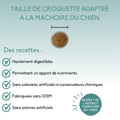Taille de croquette adaptée à la mâchoire du chien. Recettes : hautement digestibles, apport de nutriments, sans colorants ni conservateurs, sans OGM, sans arômes artificiels.