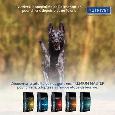 NUTRIVET, créateur de bien-être animal. Découvrez les croquettes PREMIUM MASTER pour chiens : Junior, Maintenance, Active, Large Dog, Senior. Spécialiste alimentation canine depuis 18 ans.