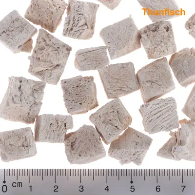 Gedroogde tonijnblokjes, elk circa 1–2 cm groot, met zichtbare vezelstructuur. Tekst 'Thunfisch' in oranje rechtsboven. Liniaal onderaan toont maatverdeling in centimeters.
