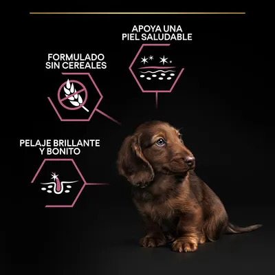 Perro junto a iconos y textos: formulado sin cereales, apoya una piel saludable, pelaje brillante y bonito.
