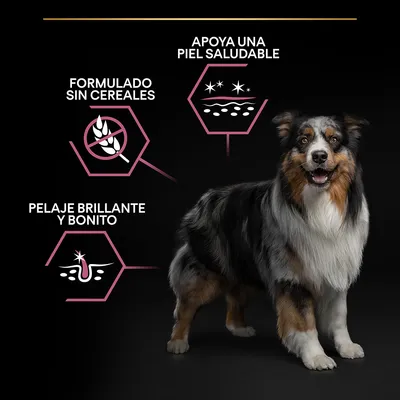 Perro junto a iconos y textos: formulado sin cereales, apoya una piel saludable, pelaje brillante y bonito.