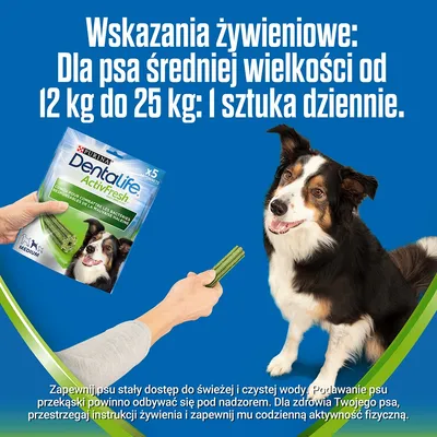 Wskazania żywieniowe: dla psa średniej wielkości od 12 kg do 25 kg: 1 sztuka dziennie. Opakowanie Purina Dentalife Activfresh Medium, osoba podaje przysmak psu.