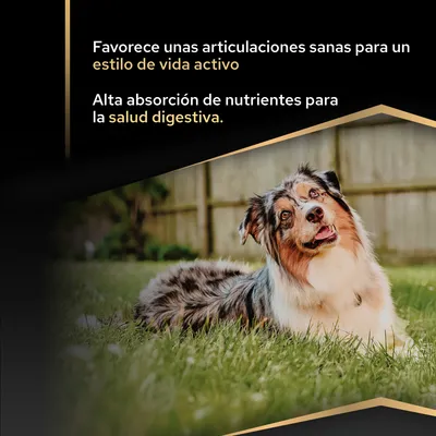 Favorece unas articulaciones saludables para un estilo de vida activo y una alta absorción de nutrientes para la salud digestiva. Favorece unas articulaciones saludables para un estilo de vida activo y una alta absorción de nutrientes para la salud digestiva.