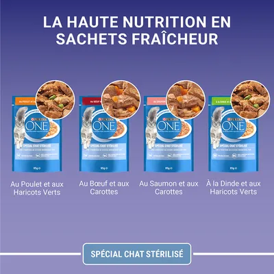 Purina ONE Spécial Chat Stérilisé, 4 rodzaje saszetek: z kurczakiem i fasolką, wołowiną i marchewką, łososiem i marchewką, indykiem i fasolką. Opakowania 85 g.