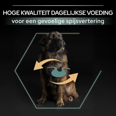 HOGE KWALITEIT DAGELIJKSE VOEDING voor een gevoelige spijsvertering