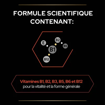 Formule scientifique contenant : vitamines B1, B2, B3, B5, B6, B12 et E pour la vitalité et la forme générale. Texte en français visible sur l’image.