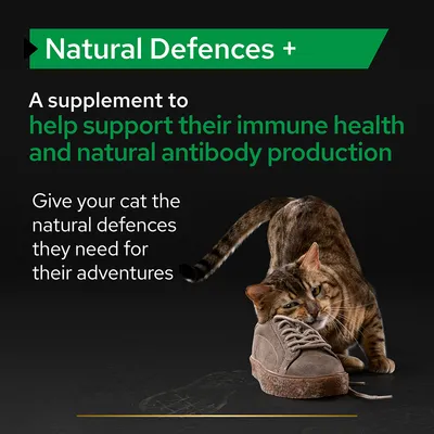 Natural Defences +. A supplement to help support their immune health and natural antibody production. Give your cat the natural defences they need for their adventures.