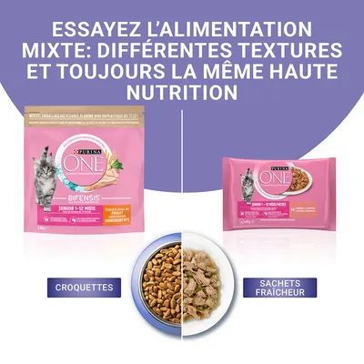 Purina ONE Bifensis Junior 1–12 mois, croquettes et sachets fraîcheur pour chaton, élaboré avec du poulet. Visuel des deux types de nourriture et emballages visibles.