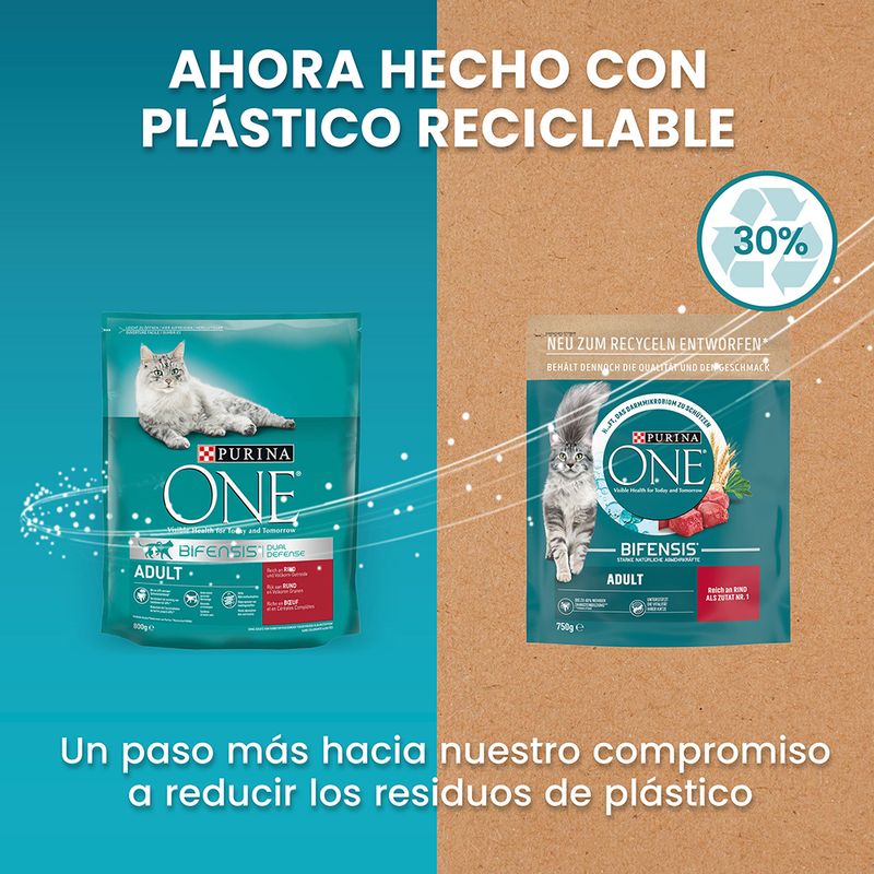 PURINA ONE Adulto vacuno y cereales integrales