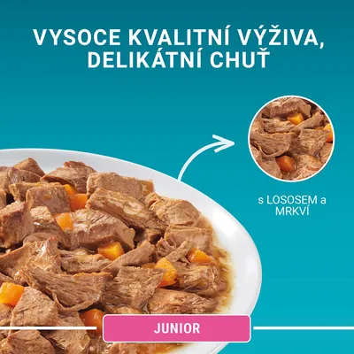 Vysoce kvalitní výživa, delikátní chuť. S lososem a mrkví. JUNIOR. Zobrazeno krmivo s kousky masa a mrkve na talíři.
