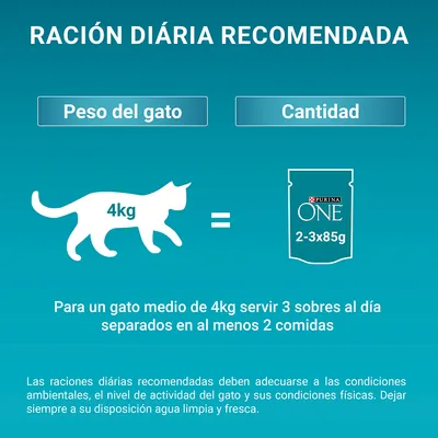 Ración diaria recomendada: para un gato de 4 kg, servir 2–3 sobres Purina ONE de 85 g al día, repartidos en al menos 2 comidas. Instrucción de ofrecer siempre agua limpia y fresca.