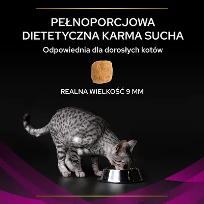 Pełnoporcjowa dietetyczna karma sucha, odpowiednia dla dorosłych kotów. Realna wielkość granulki: 9 mm. Kot przy misce z karmą.