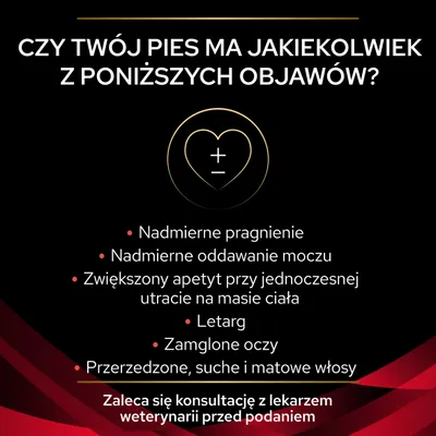 Czy twój pies ma któreś z objawów: nadmierne pragnienie, oddawanie moczu, zwiększony apetyt przy utracie masy ciała, letarg, zamglone oczy, przerzedzone suche matowe włosy. Zaleca się konsultację z lekarzem weterynarii przed podaniem.