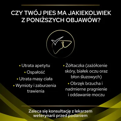 Czy Twój pies ma jakiekolwiek z poniższych objawów? Utrata apetytu, ospałość, utrata masy ciała, wymioty, żółtaczka, obrzęk brzucha. Zaleca się konsultację z lekarzem weterynarii.