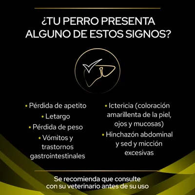 ¿Tu perro presenta alguno de estos signos? Pérdida de apetito, letargo, pérdida de peso, vómitos, ictericia, hinchazón abdominal, sed y micción excesivas. Consulte a su veterinario antes de su uso.