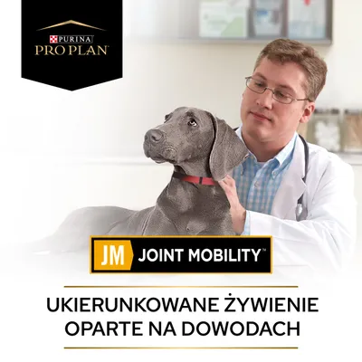 PURINA PRO PLAN JM Joint Mobility