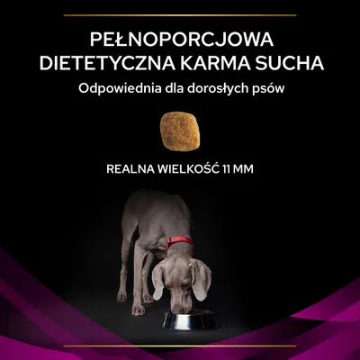 PURINA PRO PLAN Veterinary Diets UR Urinary