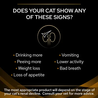 Signs listed: drinking more, peeing more, weight loss, loss of appetite, vomiting, lower activity, bad breath. Advice: product choice depends on renal decline stage; consult your vet.