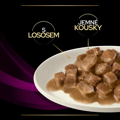 Miska s kúskami krmiva v omáčke, text: S lososom, Jemné kousky. Text „Jemné kousky“ je v češtine.