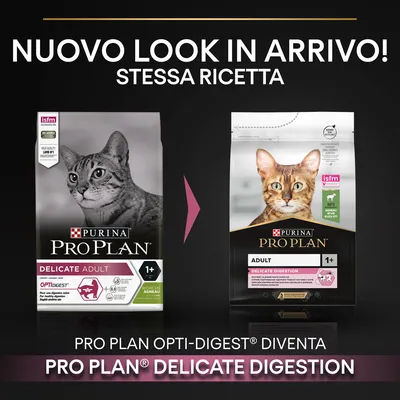 Nuovo look in arrivo! Stessa ricetta. Pro Plan Opti-Digest diventa Pro Plan Delicate Digestion. Immagine di due confezioni Purina Pro Plan per gatti adulti 1+ Delicate/Delicate Digestion.
