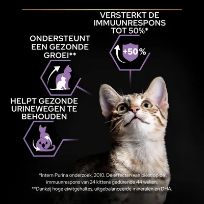 Versterkt de immuunrespons tot 50%, ondersteunt een gezonde groei, helpt gezonde urinewegen te behouden. Intern Purina onderzoek 2010, effecten op kittens, zie details onderaan.