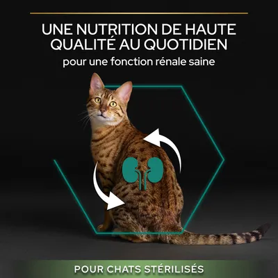 Une nutrition de haute qualité au quotidien pour une fonction rénale saine, illustration d’un chat avec symbole reins, texte : pour chats stérilisés.