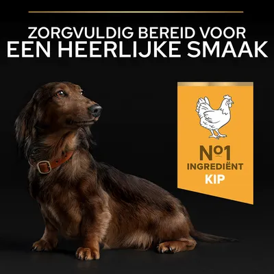Zorgvuldig bereid voor een heerlijke smaak. Nº1 ingrediënt kip.