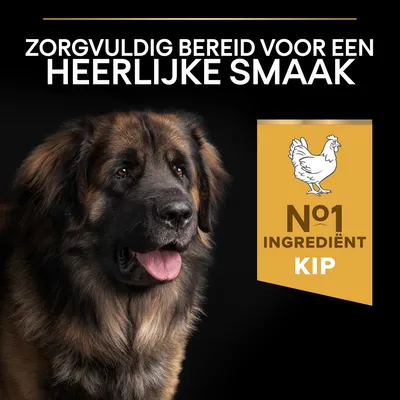 Zorgvuldig bereid voor een heerlijke smaak. Nº1 ingrediënt kip.
