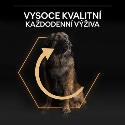 VYSOCE KVALITNÍ KAŽDODENNÍ VÝŽIVA – text s obrázkem velkého psa na černém pozadí a oranžovou šipkou kolem těla psa.