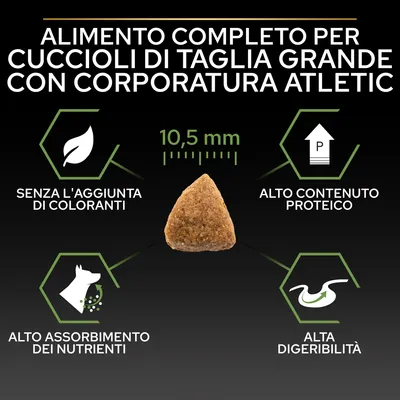 Alimento completo per cuccioli di taglia grande con corporatura atletica, crocchetta 10,5 mm, senza l'aggiunta di coloranti, alto contenuto proteico, alto assorbimento dei nutrienti, alta digeribilità.