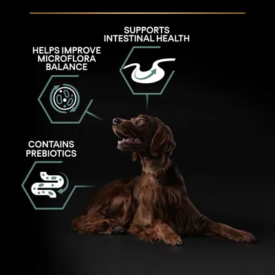 Tekst: Supports intestinal health, Helps improve microflora balance, Contains prebiotics. Illustration af hund og grafiske symboler for mave, mikroflora og tarm.