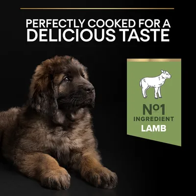 Tekst na engleskom: Perfectly cooked for a delicious taste. N°1 ingredient lamb. Prikaz psa i ilustracije ovce uz tekst o sastojku janjetine.