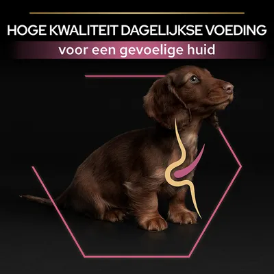 HOGE KWALITEIT DAGELIJKSE VOEDING voor een gevoelige huid, afbeelding van een hond met grafische lijnen bij de buik en borst.