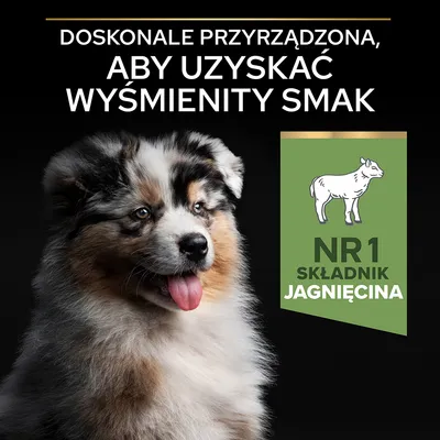 Tekst: Doskonale przyrządzona, aby uzyskać wyśmienity smak. NR 1 składnik jagnięcina. Obraz psa i grafika z sylwetką jagnięcia.