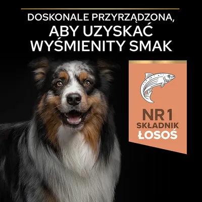 Doskonałe przyrządzenie, aby uzyskać wyśmienity smak. NR 1 składnik łosoś.