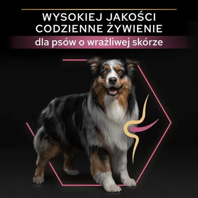 Wysokiej jakości codzienne żywienie dla psów o wrażliwej skórze – tekst na czarnym tle, pies stojący obok graficznego symbolu skóry.