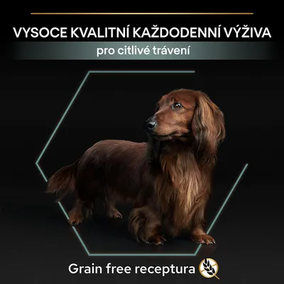 VYSOCE KVALITNÍ KAŽDODENNÍ VÝŽIVA pro citlivé trávení, Grain free receptura. Dlouhosrstý jezevčík na černém pozadí.