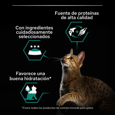 Fuente de proteínas de alta calidad, con ingredientes cuidadosamente seleccionados, favorece una buena hidratación. Imagen de un gato y símbolos relacionados con comida húmeda para gatos. Fuente de proteínas de alta calidad, con ingredientes cuidadosamente seleccionados, favorece una buena hidratación. Imagen de un gato y símbolos relacionados con comida húmeda para gatos.