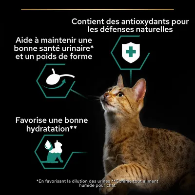 Contient des antioxydants pour les défenses naturelles, aide à maintenir une bonne santé urinaire et un poids de forme, favorise une bonne hydratation. Chat illustré.