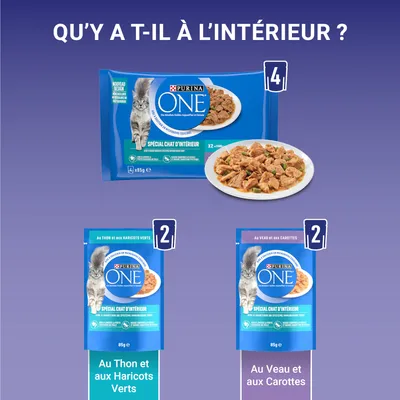 Purina ONE Spécial Chat d’Intérieur : 4 sachets, dont 2 au thon et aux haricots verts, 2 au veau et aux carottes. Sachets de 85 g chacun, visuel du produit servi dans une assiette.